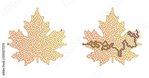 Maple Leaf Maze for Kids – Easy Labyrinth Puzzle with Answers on White Background