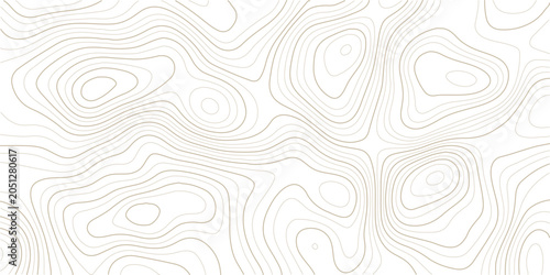 Foto Brown topographic contour lines pattern on white background for design and mappi