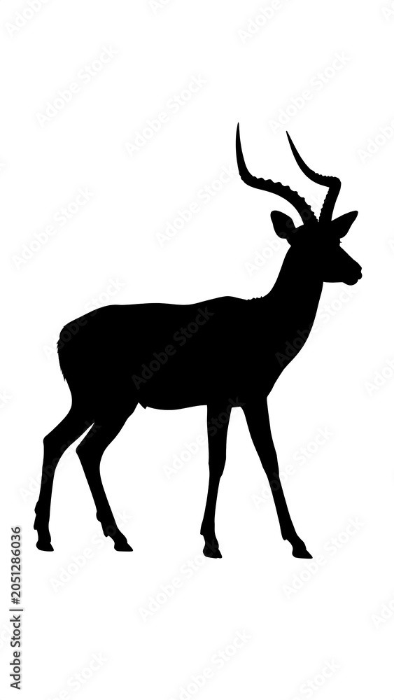 Fototapeta premium Impala silhouette.