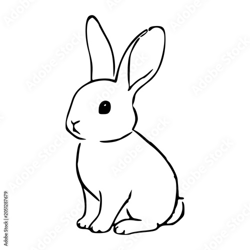 minimalist sketch of a small bunny for nature and animal concept