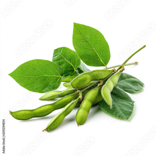 Green soybean pods with fresh leaves isolated on white background