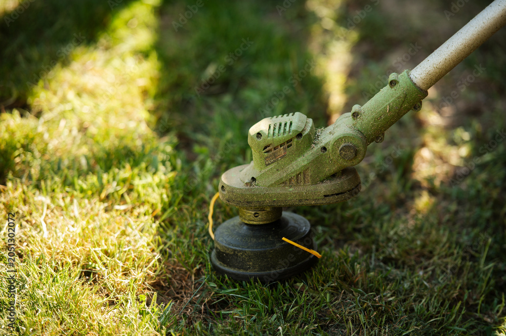 Foto Trimming grass with a string trimmer in backyard garden