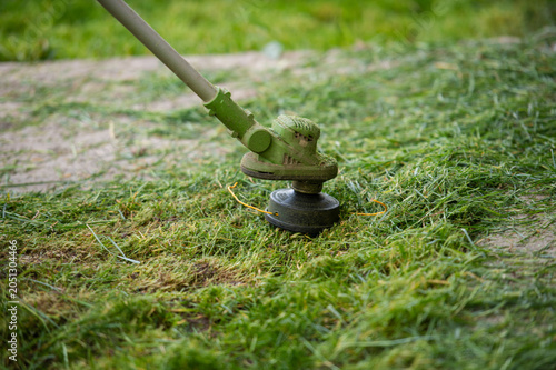 String trimmer cutting tall grass in sunny garden