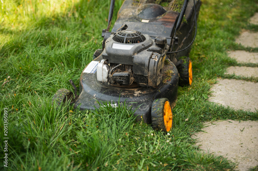Obraz premium Grass trimmer cutting overgrown lawn in backyard garden