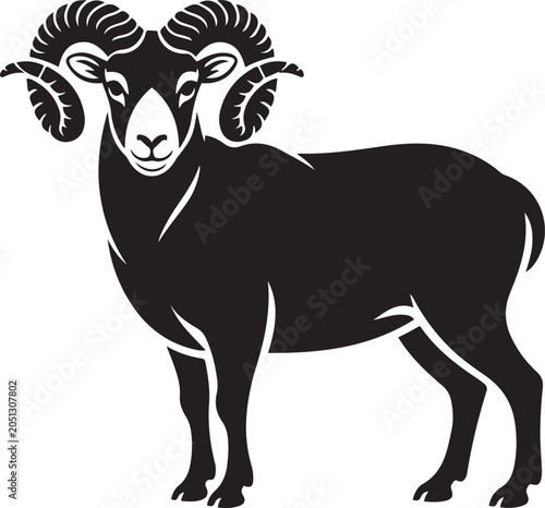 Black ram with large curved horns standing
