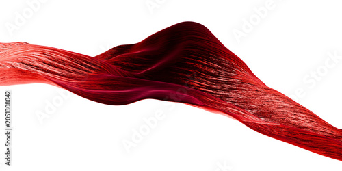 3D red ribbon wave with textured surface on transparent background, abstract flowing organic form