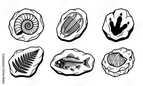 Bild auf Leinwand Fossil Collection Vector Icons: Ancient Life, Paleontology, Prehistoric Remains,
