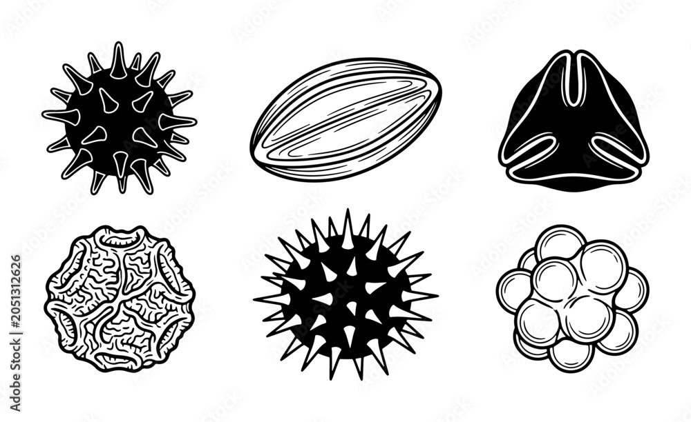 Obraz premium Pollen Grains Vector Set, Microscopic Plant Particles, Botanical Illustration, Allergy Triggers