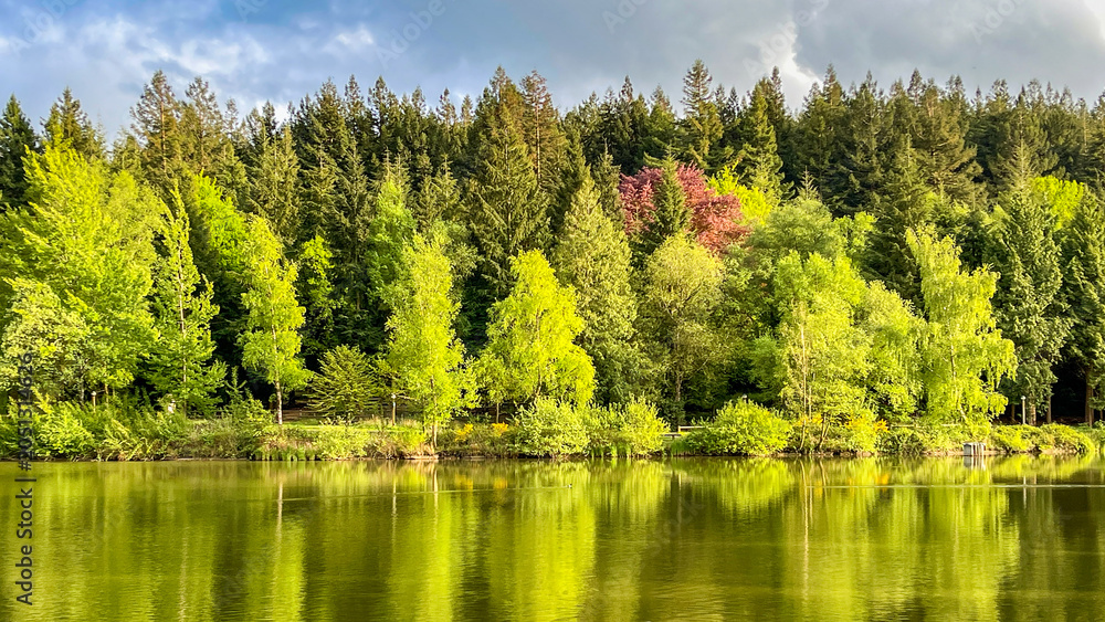 Fototapeta premium Colourful scenic landscape view of a lake and reflections of trees with a forest in the background. No people.