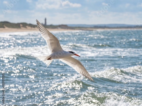 Seagull Soaring Over Sparkling Ocean Waves on a Sunny Day.