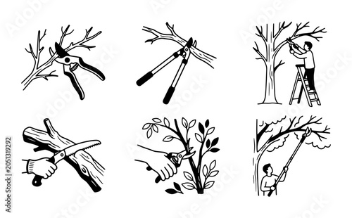 Foto Gardening Tools and Tree Pruning Techniques, Vector Icons Set for Horticulture a
