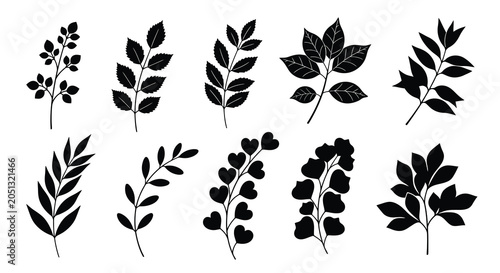 Konstfotografi Black Silhouette Leaf Collection Botanical Vector Illustration