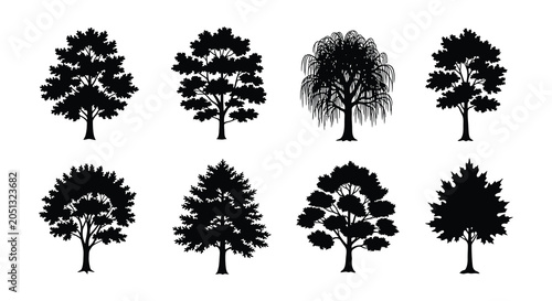 Bild auf Leinwand Black Silhouette Tree Collection Various Species And Foliage Styles