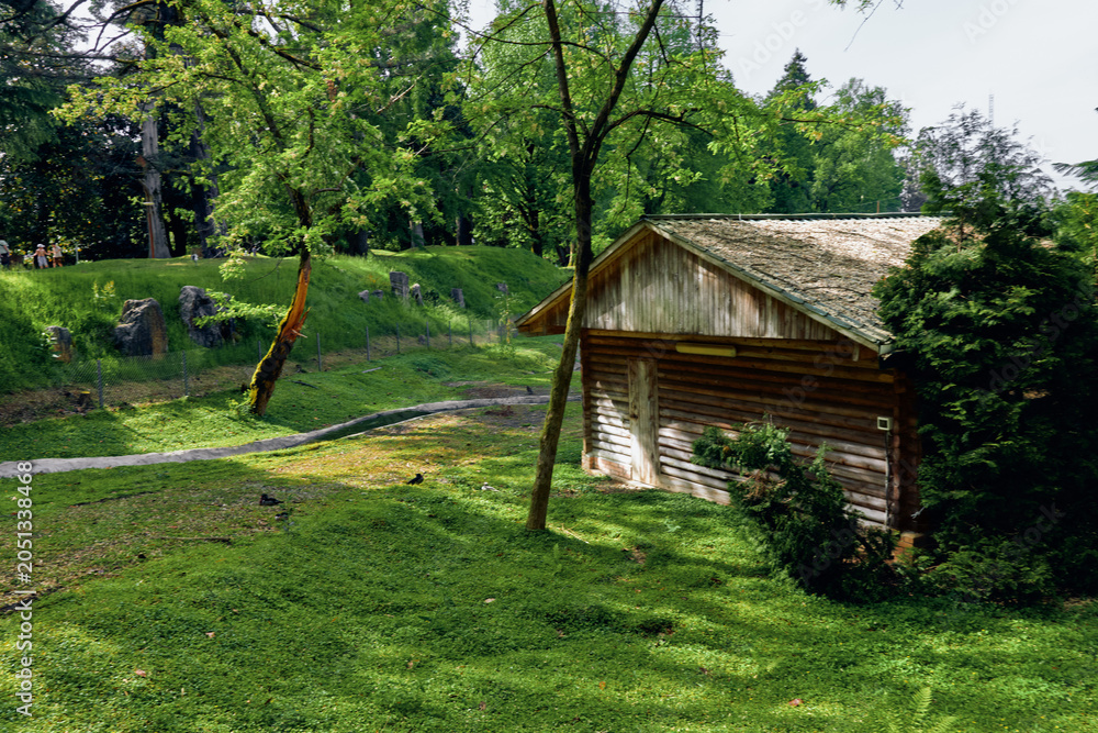 Fototapeta premium Cabin shed grass trees wooden nature sunlight meadow in a peaceful rural park setting, rustic wooden outbuilding beside a shaded grassy slope with surrounding forest and dappled light.
