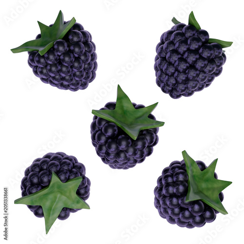 Blackberry Fruit Set Isolated on White Background