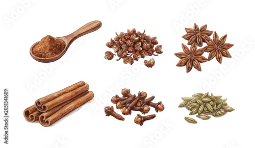 Photos Watercolor Illustration of a Spices Set with Cinnamon, Star Anise, Cloves, Carda