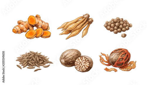 Obraz na plátně A vibrant 'collection of aromatic spices' in a detailed watercolor illustration,