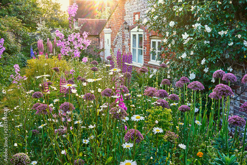A traditional English country cottage garden with flowers in summer