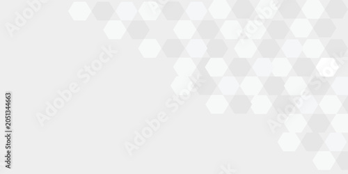 Cuadro en lienzo Abstract white and grey background
