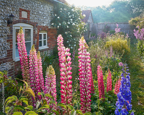 A traditional English country cottage garden with flowers in summer