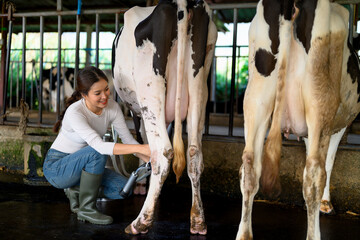 Dairy workers monitoring milking process and recording data in cow barn