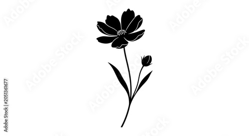 Quadro su tela Elegant black silhouette of a single cosmos flower with a budding companion