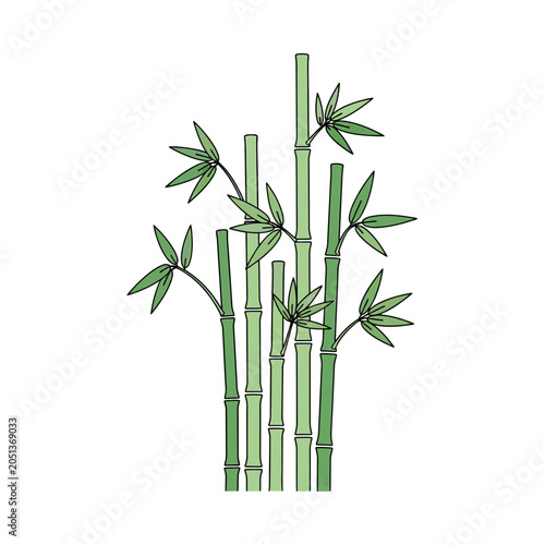 Green bamboo stalks with leaves illustration on a plain white background