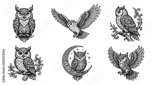 Fotografia Enigmatic Owls Collection: Tattoo Style Illustrations