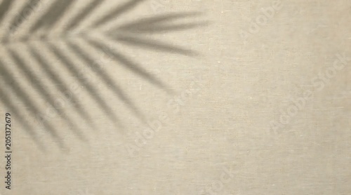 Palm leaf shadow falls on a sandy beach at sunset
