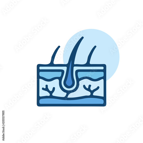 Skin Anatomy Cross Section and Hair Follicle Vector Icon