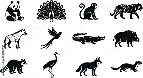 Photography Zoo wild animals and exotic birds black silhouette icon set featuring panda peac