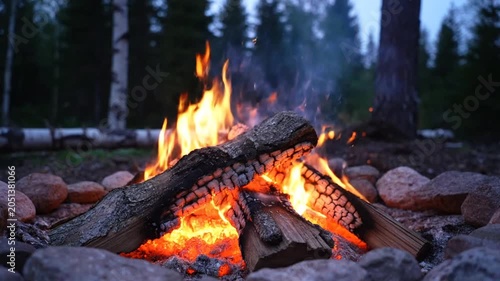 Campfire burning brightly in forest, warm flames and smoke rising, outdoor bonfire