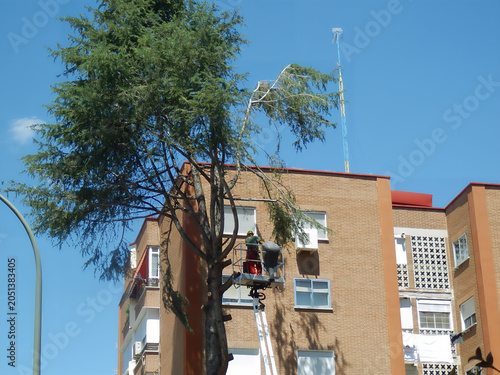 Tree trimming work on building near residential area during sunny day