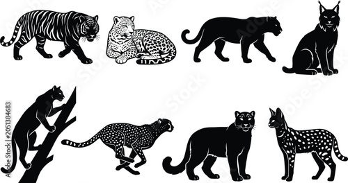 Photography Collection of wild cat silhouettes and predator icons featuring tiger leopard ch