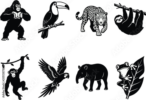 Photography Set of eight rainforest animal vector silhouettes including gorilla jaguar touca