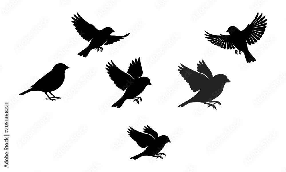 Fototapeta premium Flying Birds Silhouettes Set with Black Little Sparrows and Small Wild Birds Poses Collection
