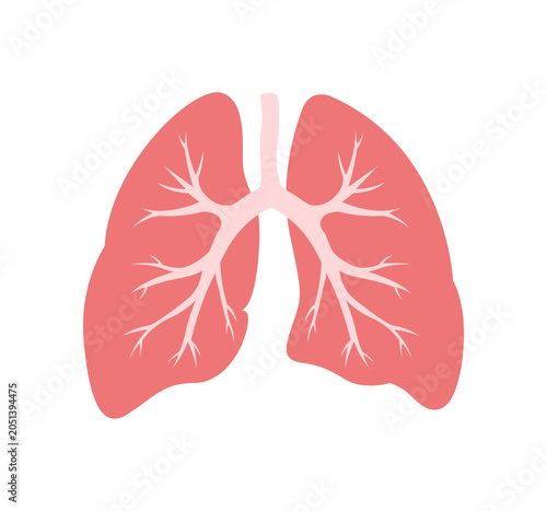 Tableau sur toile Pink human lungs anatomical graphic for medical and healthcare concepts