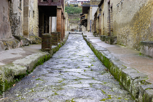 A cobblestone street lined with ancient stone buildings, likely in Herculaneum or Pompeii, Italy, showing the wear of time with moss growing on the stones.