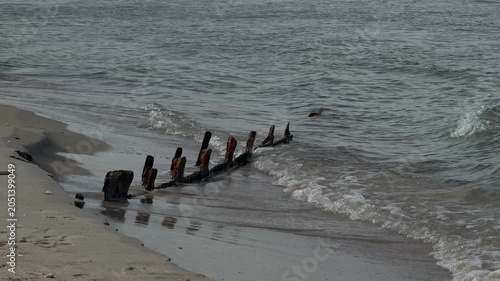 Wide Baltic Sea waves breaking around wooden groynes