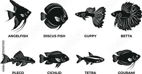 Canvastavla Detailed Silhouette Collection of Popular Freshwater Aquarium Fish Species for E