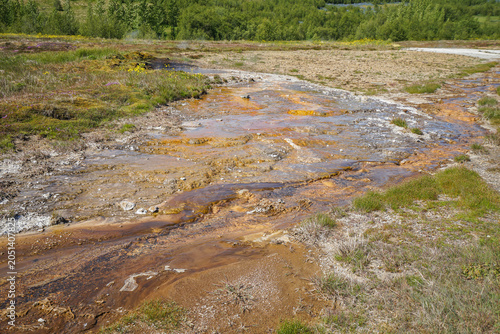 Фотография Erosion patterns in a muddy, waterlogged field with patches of grass and vegetat
