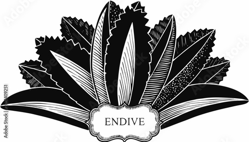 Canvastavla Very beautiful black-and-white engraved vector illustration featuring endive lea