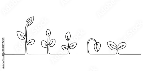 Cuadro en lienzo Continuous line drawing of plant growth stages from seed to small sprout