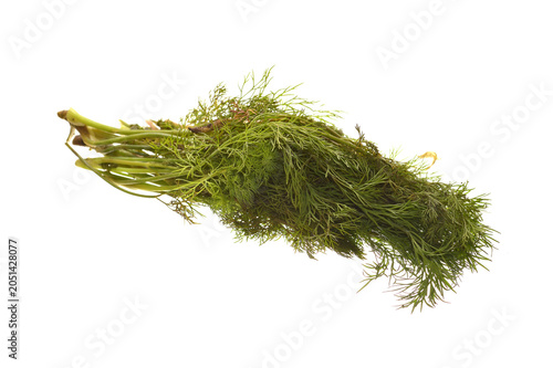 Garden greens isolated on white background