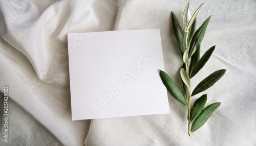 feminine minimalist styled wedding stationery mockup featuring a blank invitation card alongside a fresh olive twig on a soft white linen background viewed from above