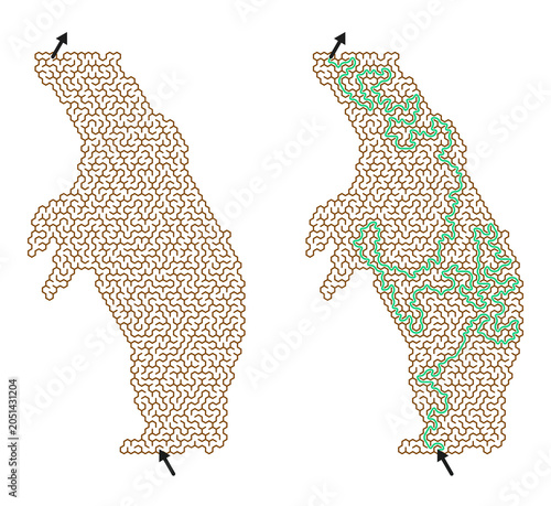 Konstfotografi Logic game with labyrinths in standing bear shape with solved path and answer ke