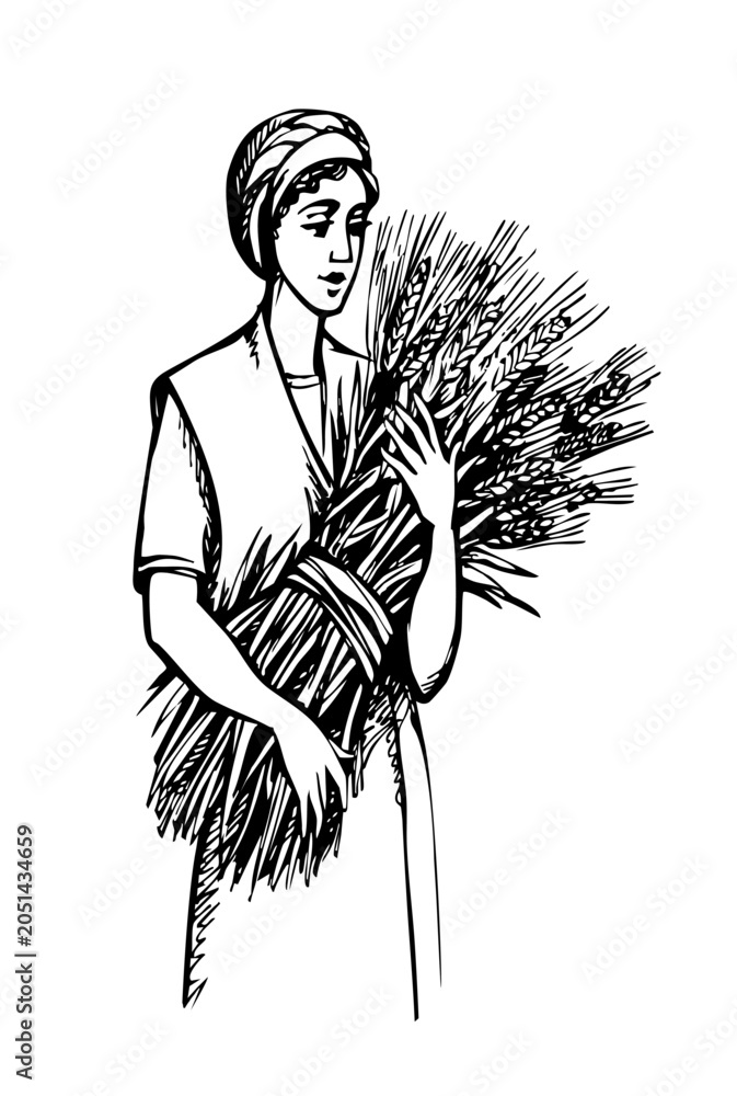 Fototapeta premium Vector drawing. Woman with wheat