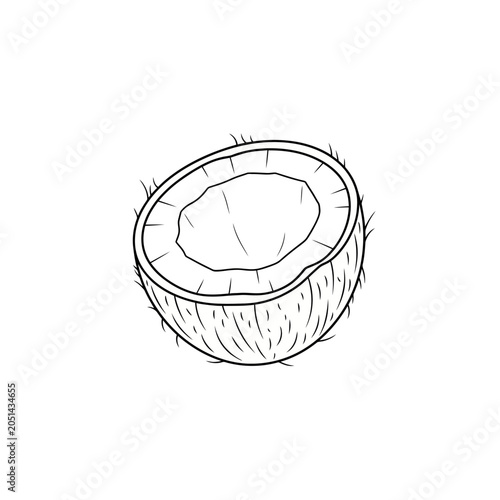 Hand-Drawn Sketch Illustration of a Cracked Coconut Half Isolated on a Clean White Background