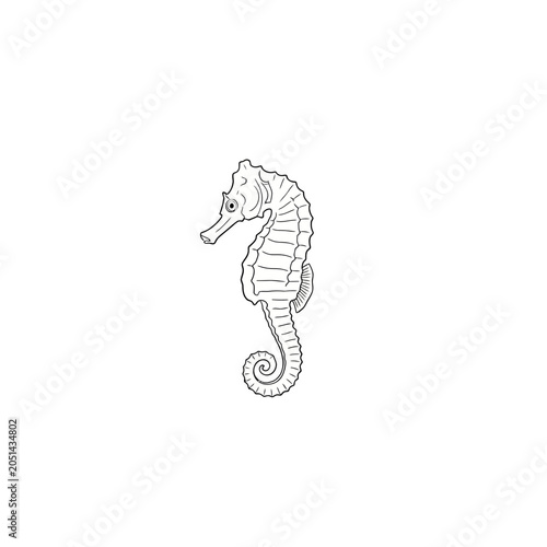 Simple black and white seahorse line art illustration on a clean white background for coloring book