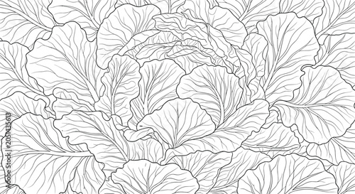 Intricate line art pattern of dense cabbage leaves showing detailed veins and textures in a black and white design.